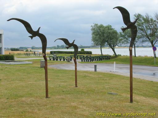 Farø /  Seabirds