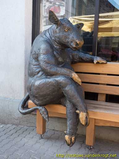 Tallinn /  Black Angus