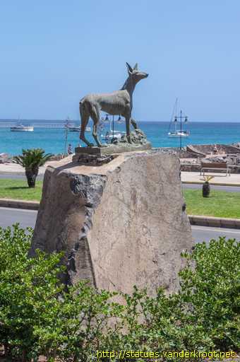 Puerto del Rosario /  Podenco canario