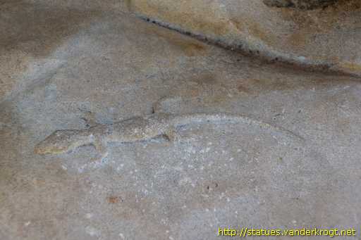 Pájara /  Fuente con lagarto