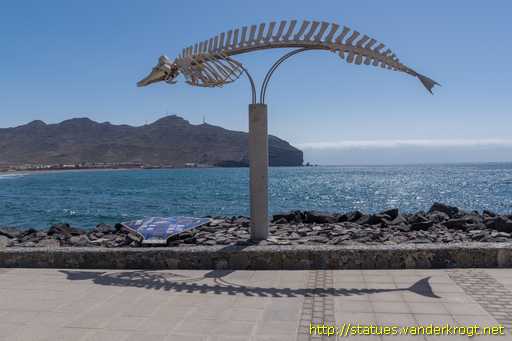 Gran Tarajal /  Esqueleto de un zifio común