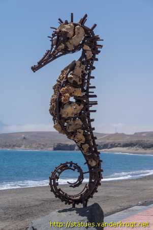 Tarajalejo / Seahorse - <i>Caballo de mar</i>
