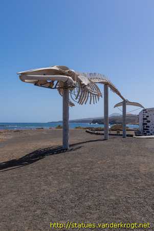 Salinas del Carmen /  Esqueleto de un rorcual común