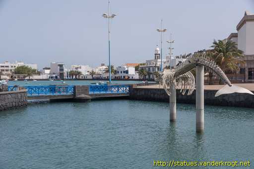 Arrecife /  Esqueleto de un rorcual tropical