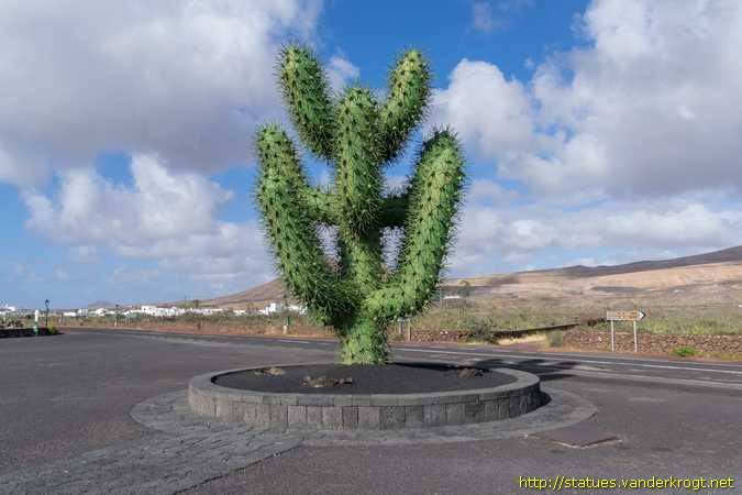 Guatiza /  Cactus