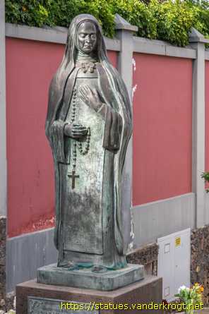 El Sauzal /  María de Jesús de León y Delgado