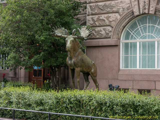Helsinki /  Hirvi