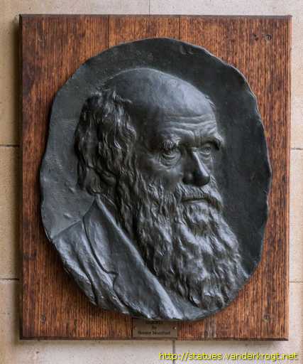 Cambridge /  Charles Darwin