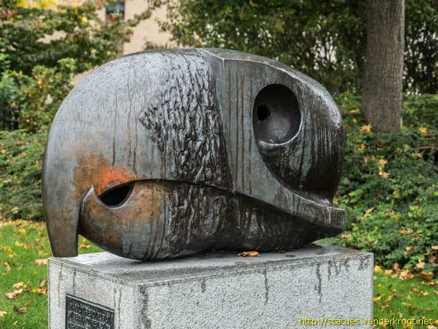 Norwich /  Parrot Head Rubio