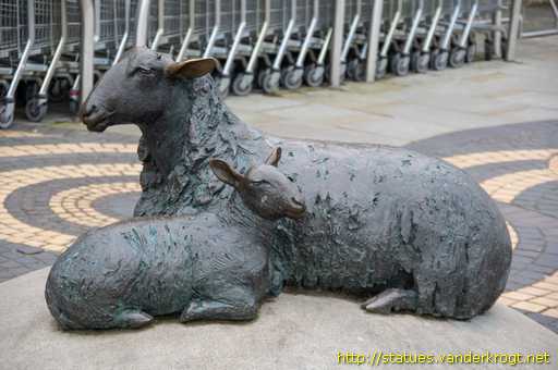 Calne /  Sheep