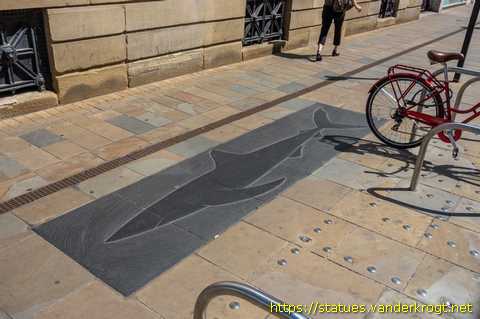 Hull /  Hull Fish Trail