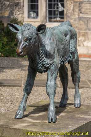 York /  Friesian Calf