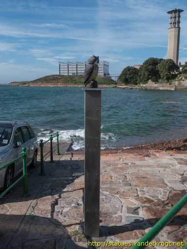 Saint Helier /  Owl