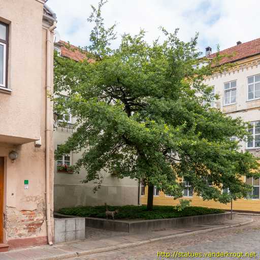 Klaipėda /  Katinas džentelmeno veidu