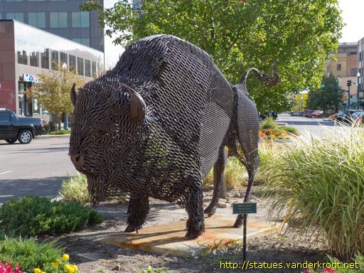 Colorado Springs / American Bison