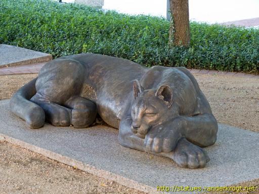 Fort Worth /  The Sleeping Panther