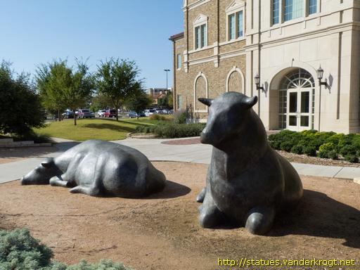 Lubbock /  Bulls
