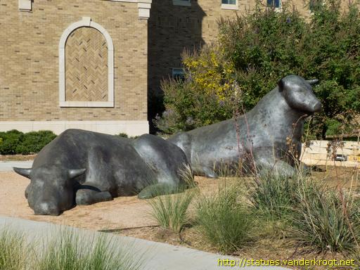 Lubbock /  Bulls