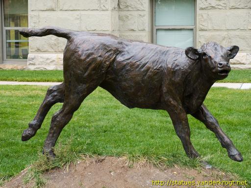 Cheyenne /  Calf