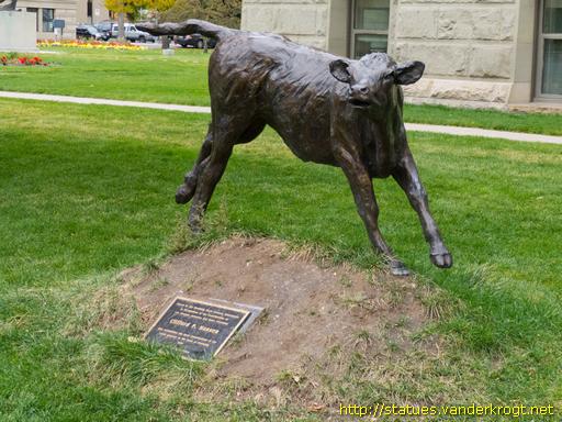 Cheyenne /  Calf