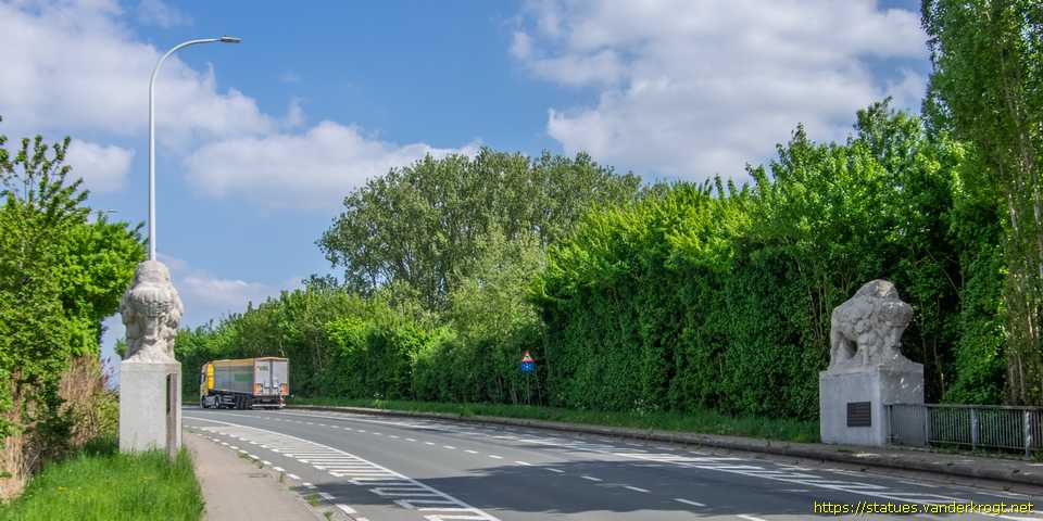Oudenaarde - Vier bizons
