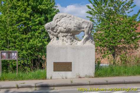 Oudenaarde - Vier bizons