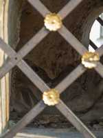 Svitavy - Svatá Rozálie / Saint Rosalia