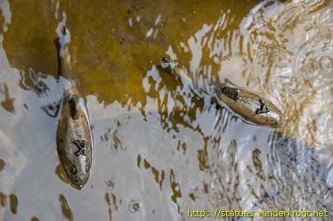 Jülich - Muttkratebrunnen