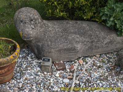 Helgoland - Kegelrobben Niels und Peter