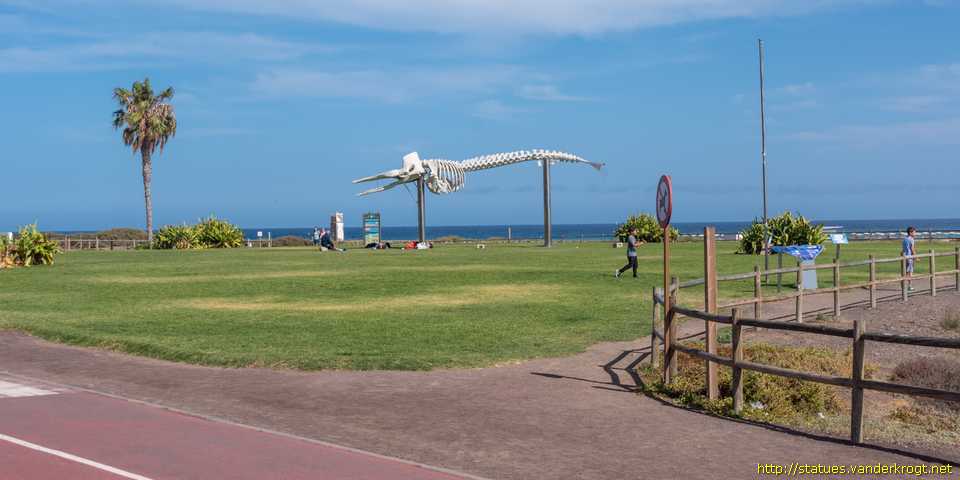 Morro Jable - Esqueleto de un Cachalote