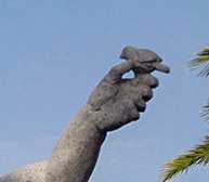 Pájara - El Pájaro II