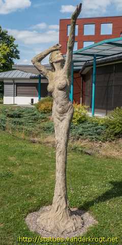 Barentin - Les quatre saisons