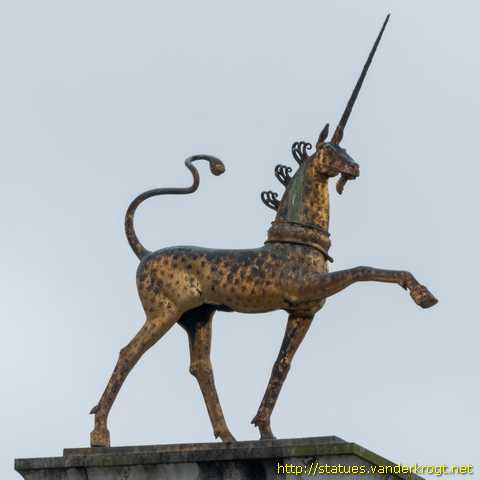 Bristol - The Bristol Unicorns