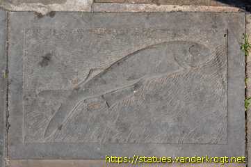 Hull - Hull Fish Trail