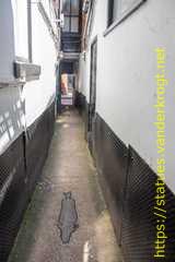 Hull - Hull Fish Trail