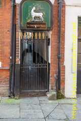 Hull - Hull Fish Trail