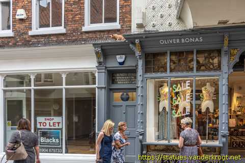 York - York Cat Trail