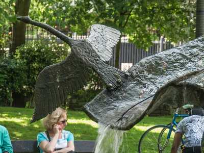 Cork - Corcaigh / Swan Fountain
