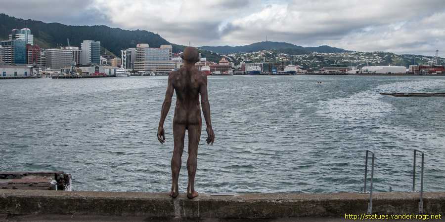 Wellington - Solace in the wind