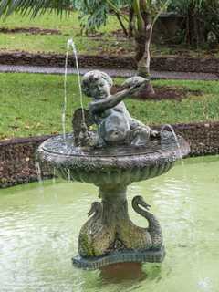 Funchal - Fontes com putti e anjos